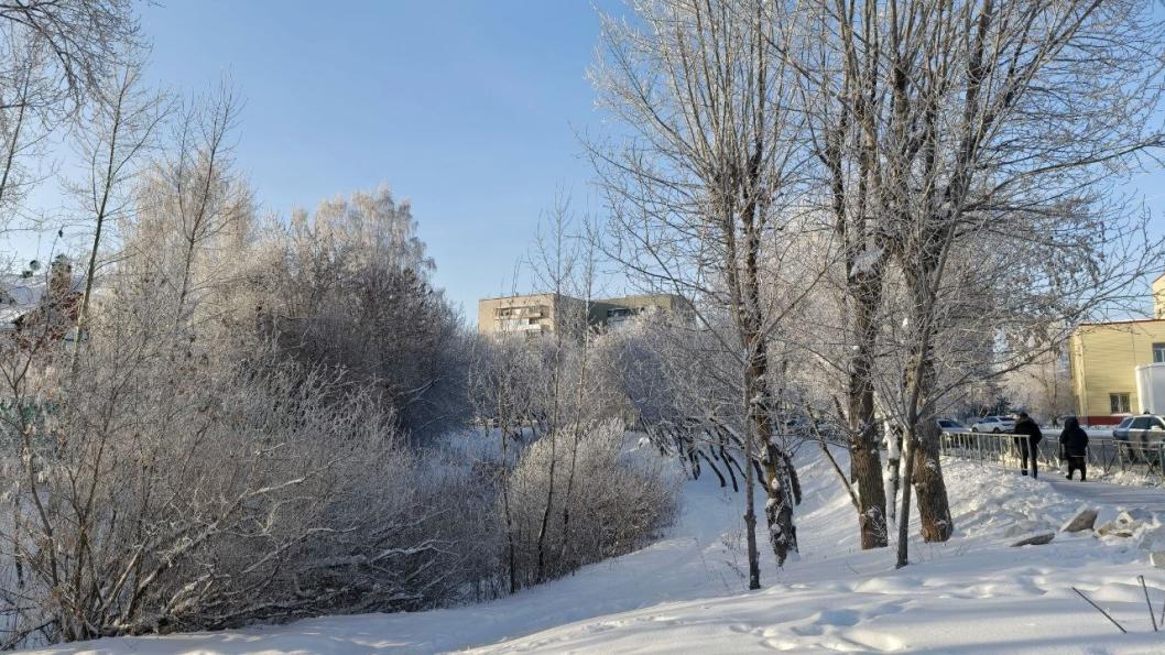 Инна Пахомова, ИА "Тюменская линия"