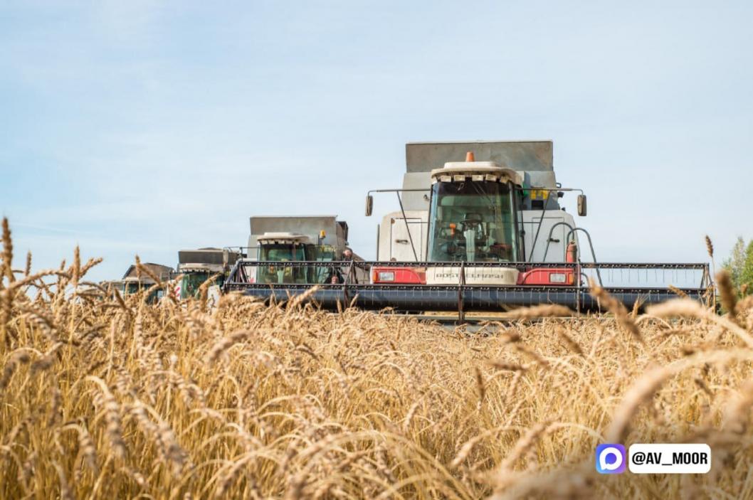 Александр Моор в Telegram