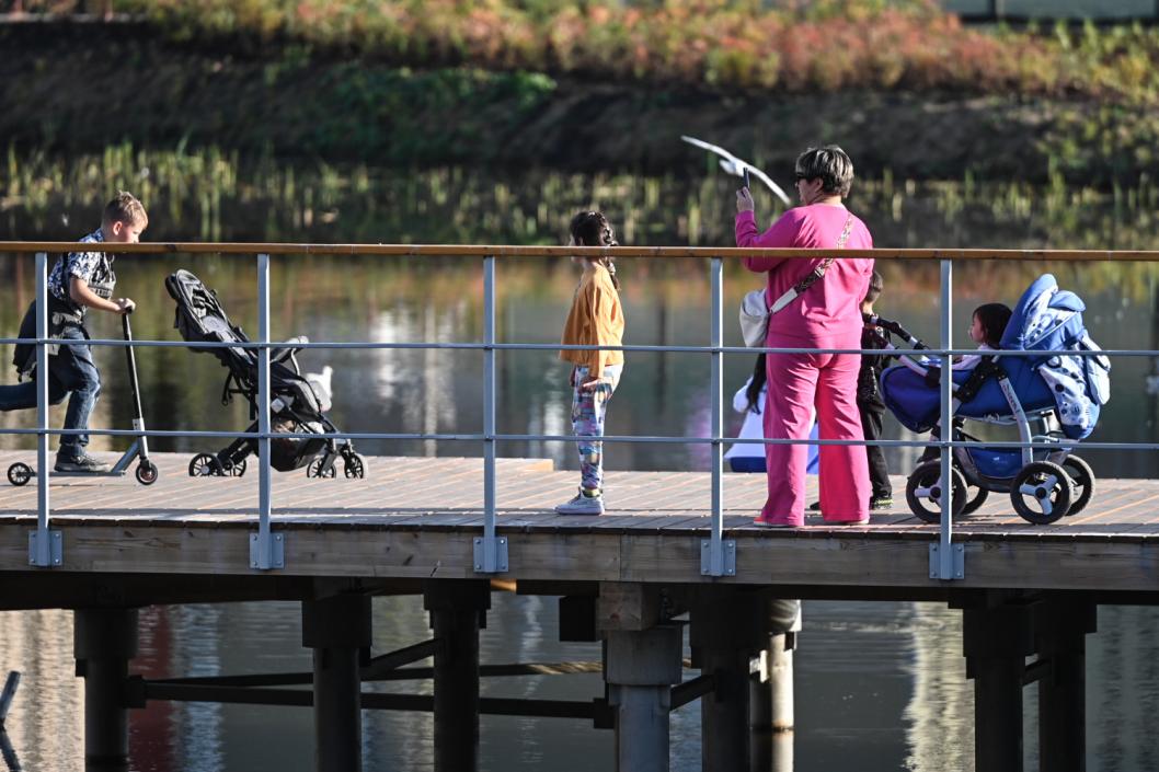 Сергей Елесин, ИА "Тюменская линия"