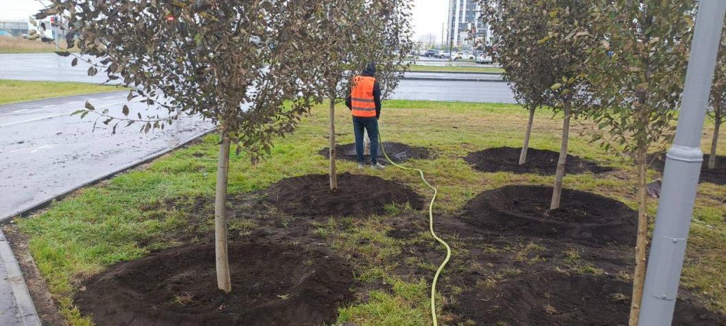 МКУ «ЛесПаркХоз»