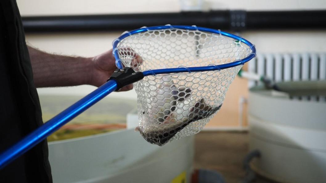 Инна Пахомова, ИА "Тюменская линия"