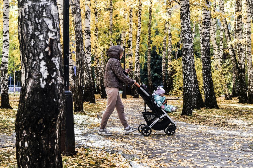 Сергей Елесин, ИА "Тюменская линия"