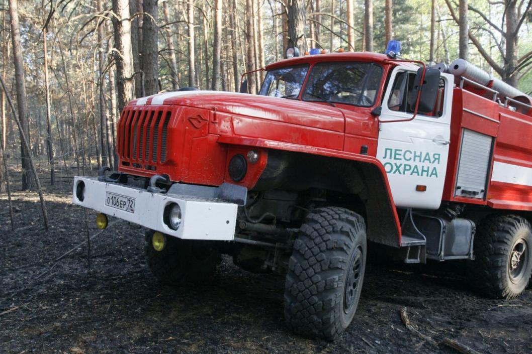  Сергей Елесин, ИА "Тюменская линия" (архив)