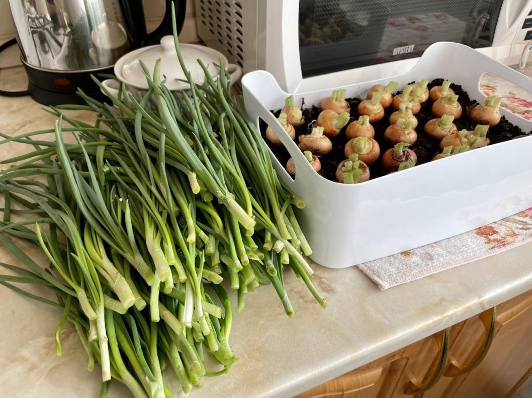 ИА "Тюменская линия"