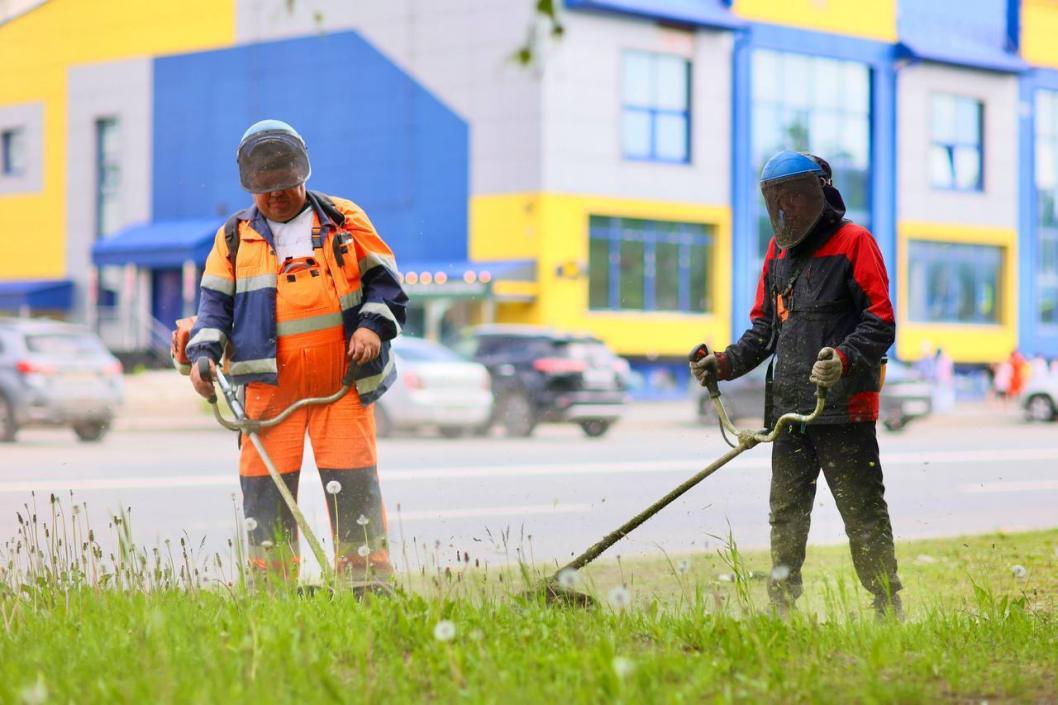 Пётр Вагин в Telegram