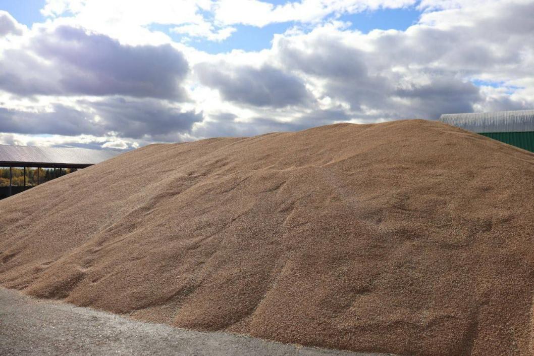 Telegram-канал Сергея Борисевича