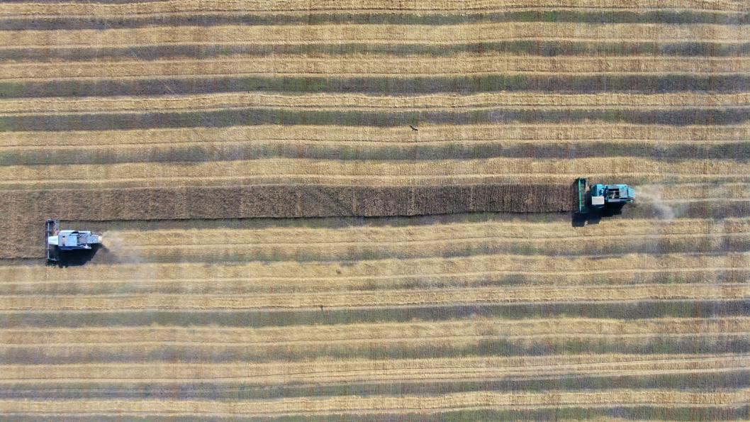 Виктор Сергеев, ИА "Тюменская линия"