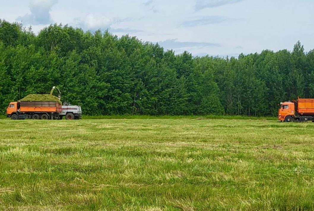 Пресс-служба ГАУ Северного Зауралья