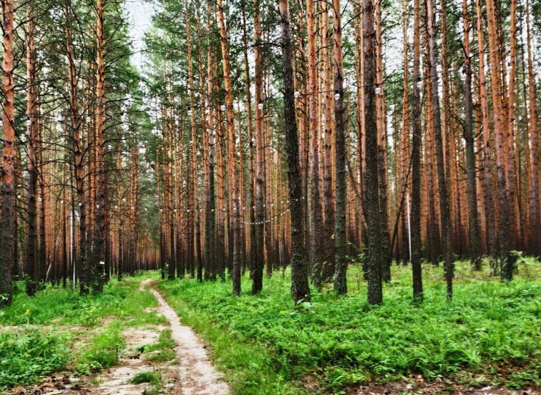 ИА "Тюменская линия"