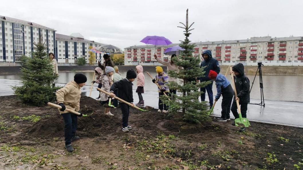 Инна Пахомова, ИА "Тюменская линия"