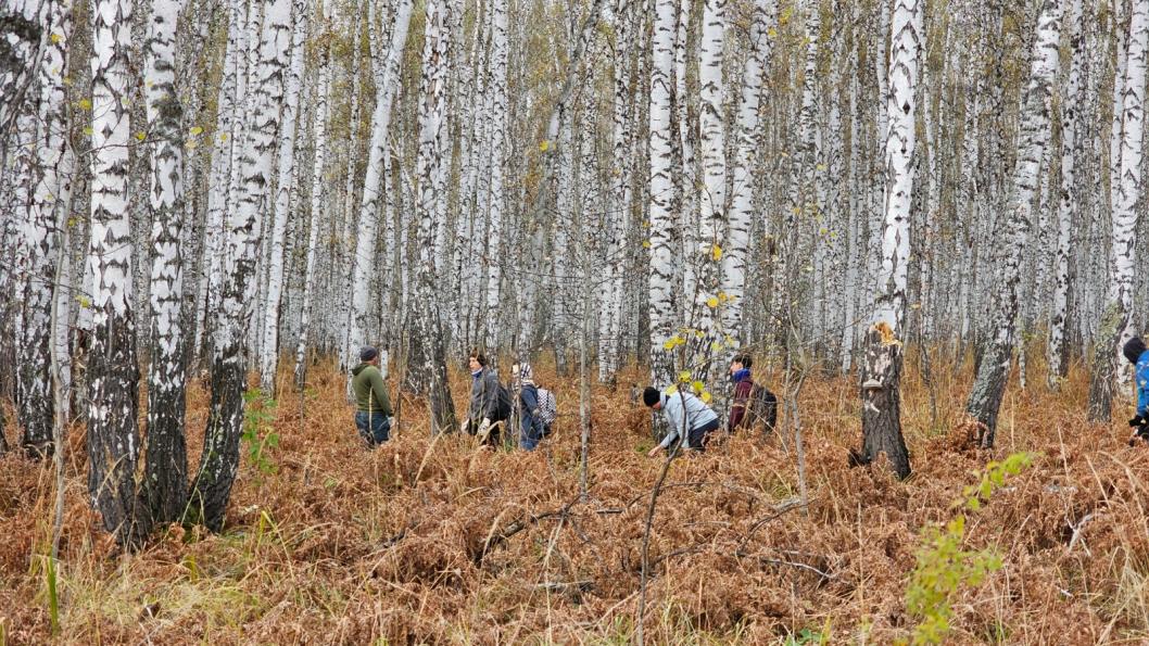 "Книга, которой не должно быть" в ВК