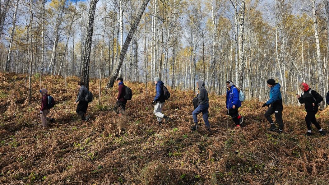 "Книга, которой не должно быть" в ВК