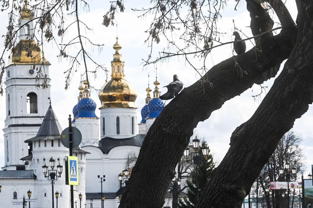 Сергей Елесин, ИА "Тюменская линия"