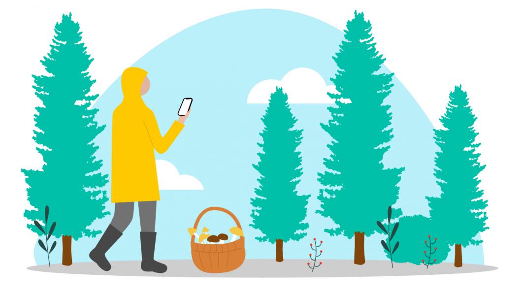 Пресс-служба Билайна. ПАО "Вымпелком"