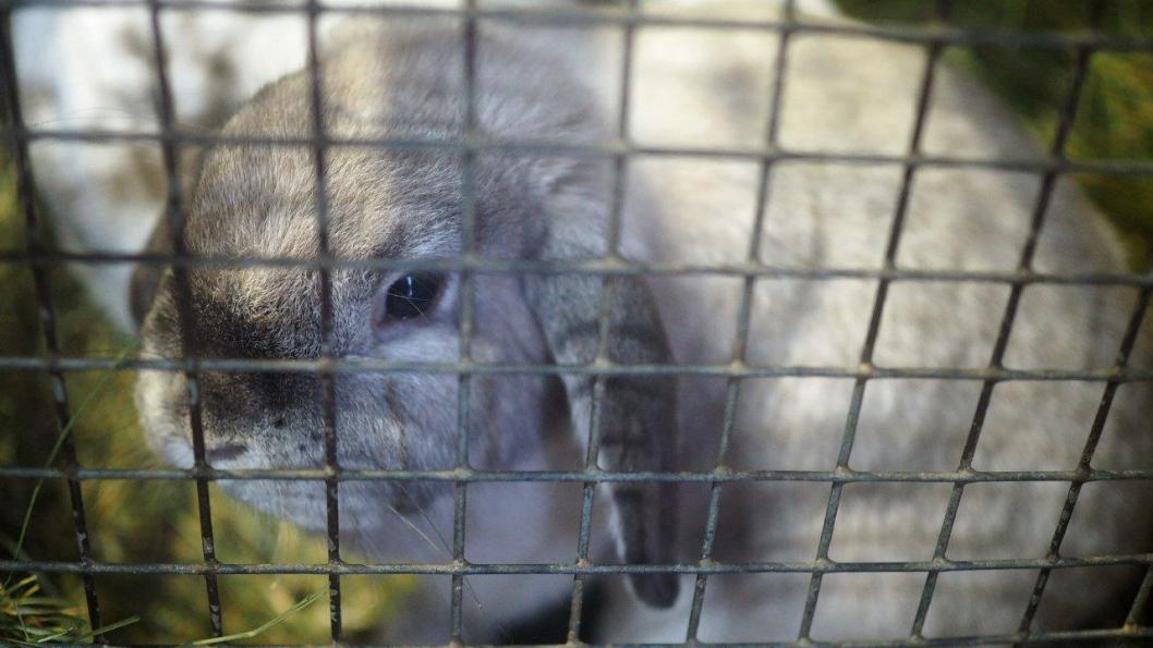 Инна Пахомова, ИА "Тюменская линия"