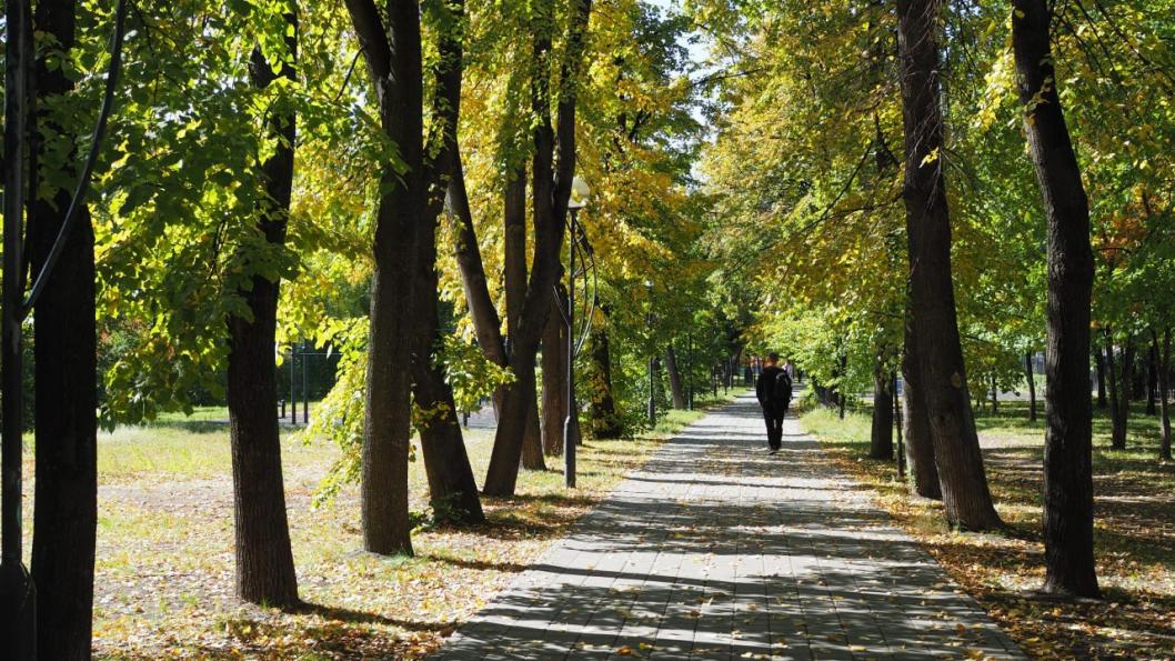 ИА "Тюменская линия"