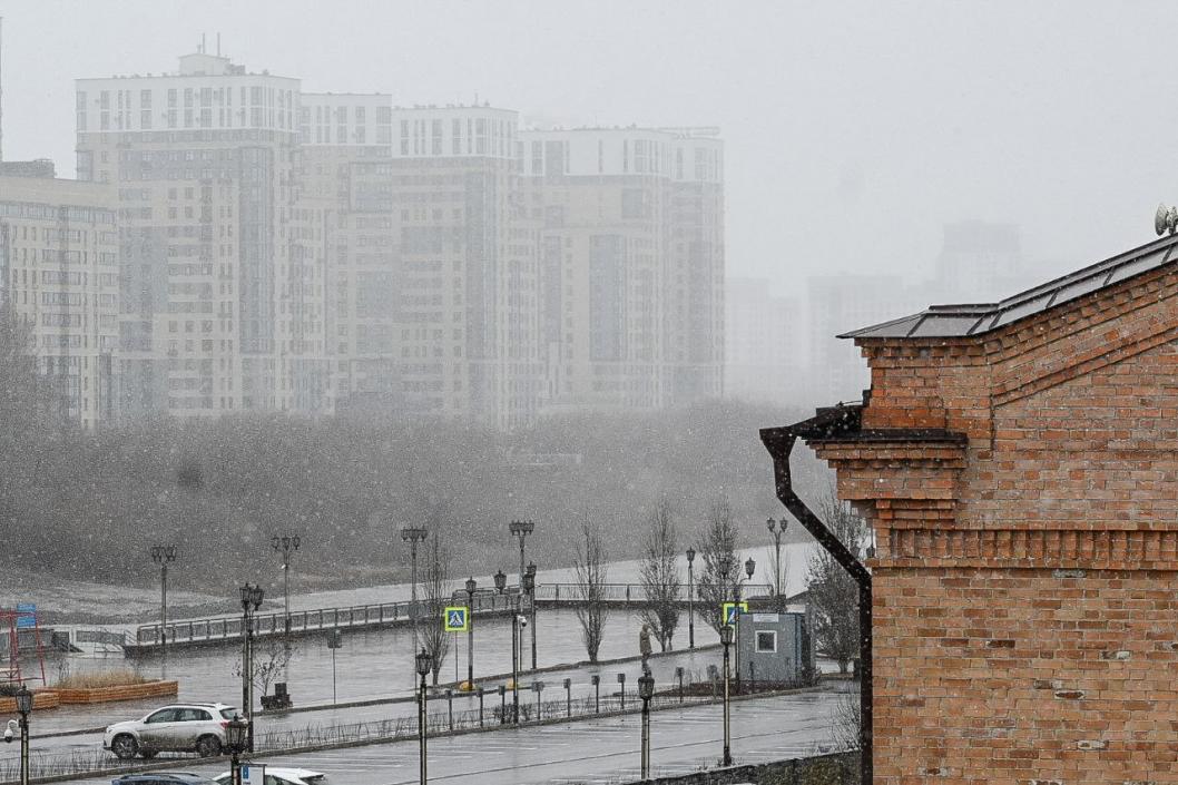 Сергей Елесин, ИА "Тюменская линия"