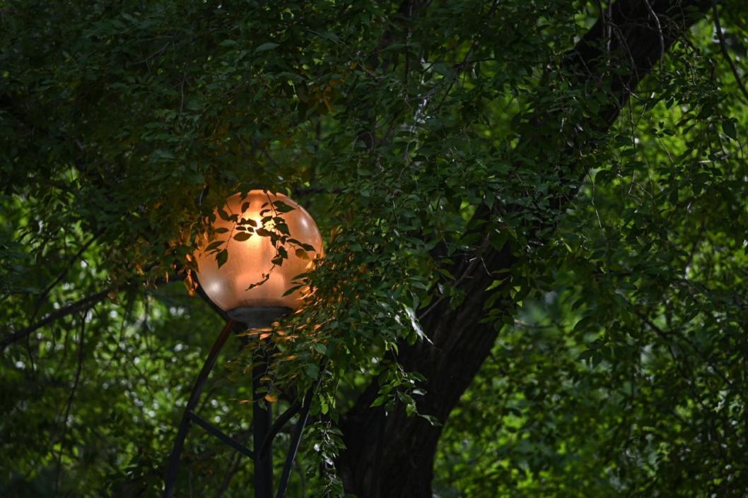 Сергей Елесин, ИА "Тюменская линия"