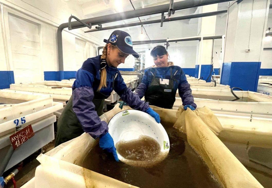 Telegram-канал Петра Вагина