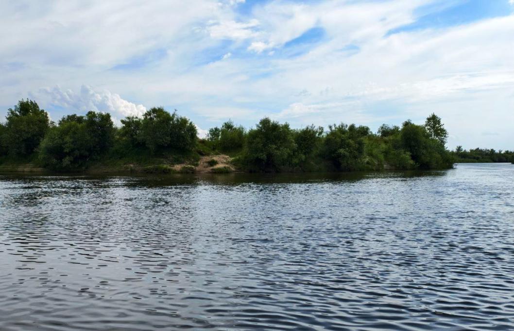 ИА "Тюменская линия"