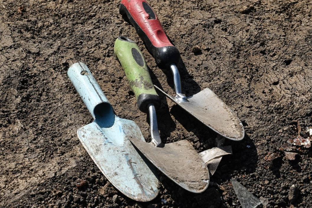 Сергей Елесин, ИА Тюменская линия