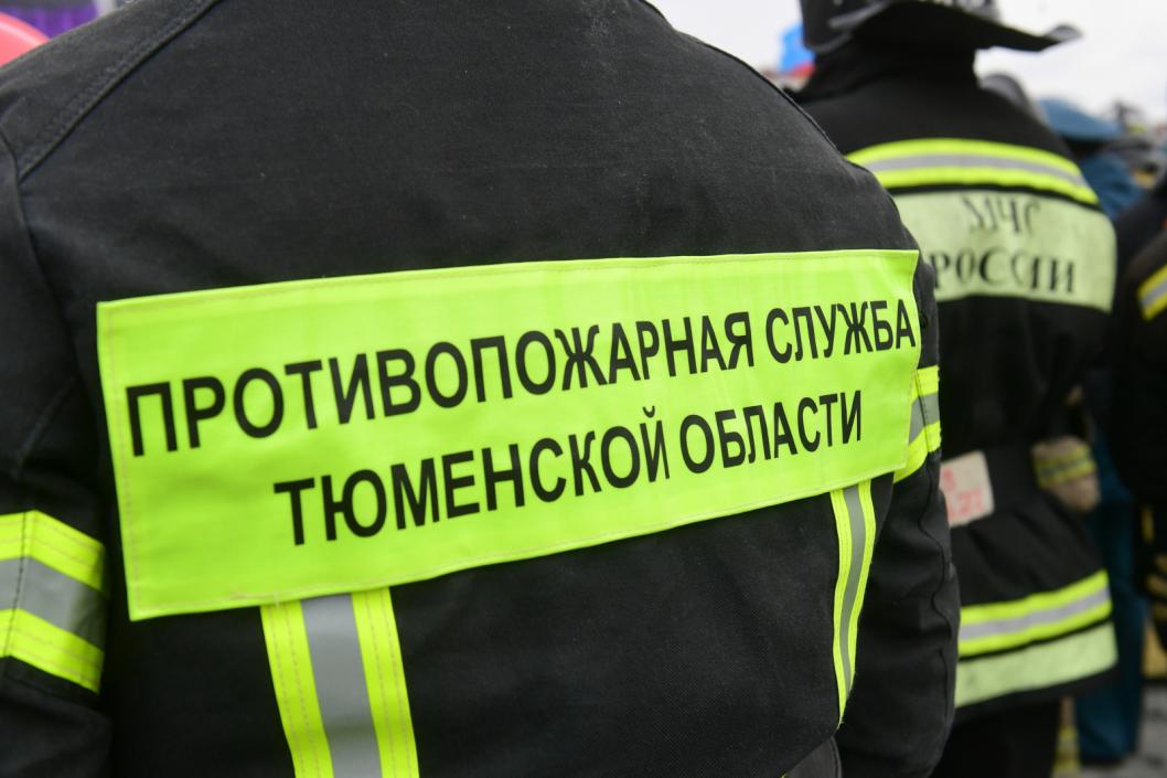 Сергей Елесин, ИА "Тюменская линия"