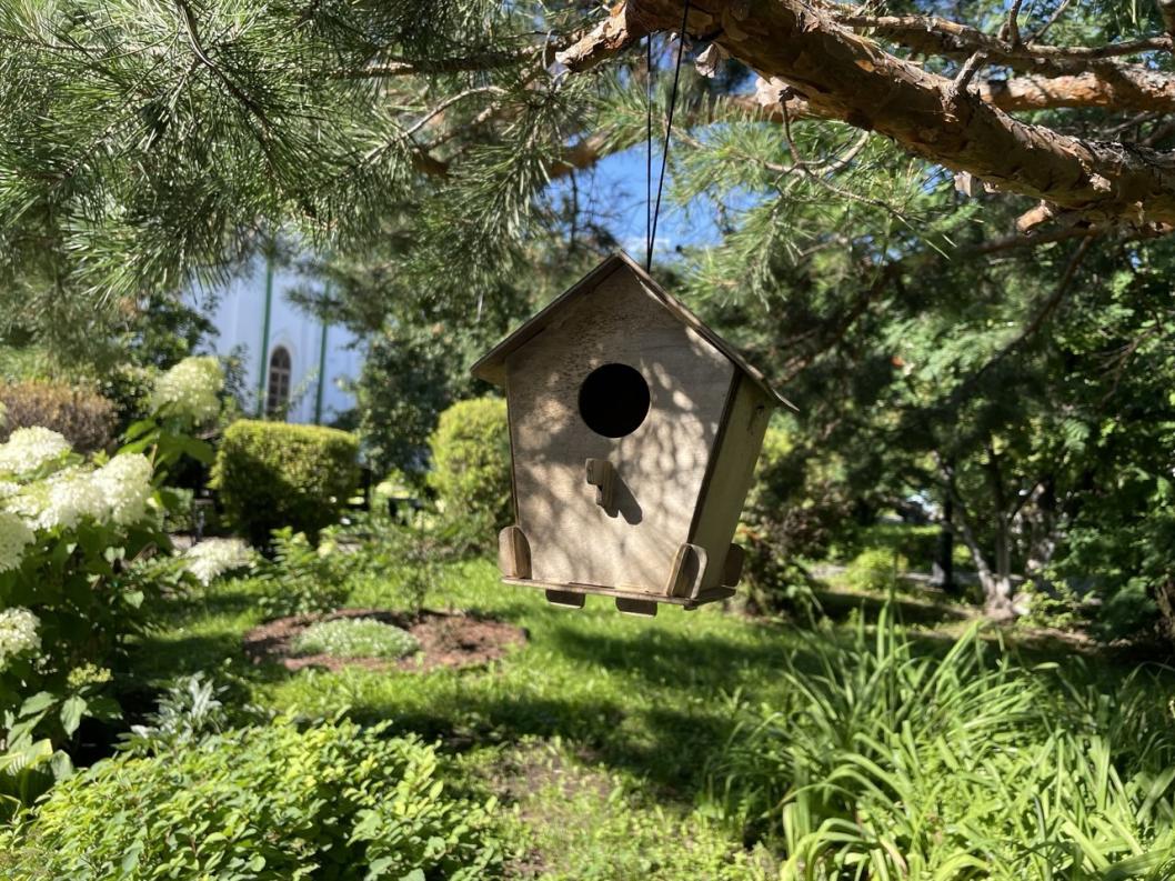 ИА "Тюменская линия"