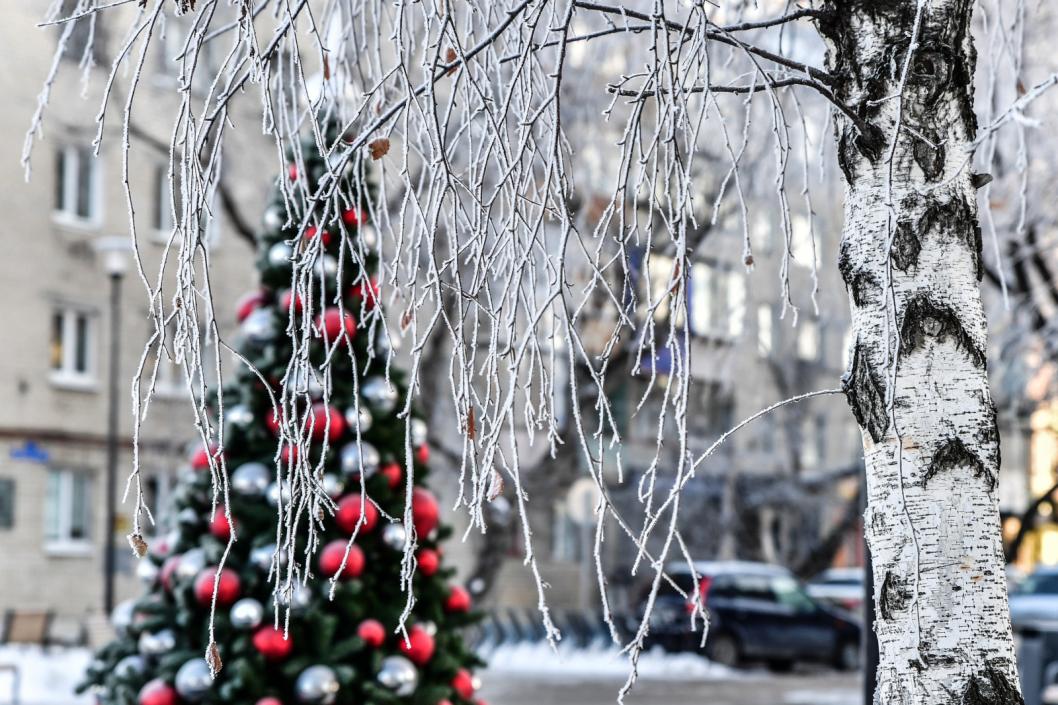 Сергей Елесин, ИА &quot;Тюменская линия&quot;