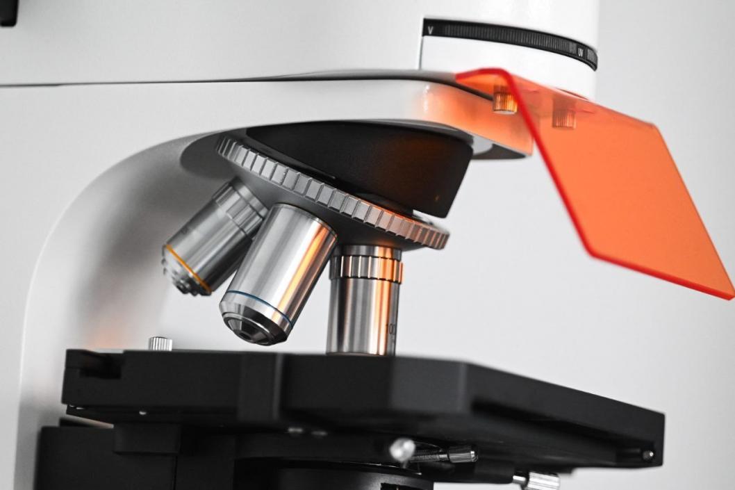 Сергей Елесин, ИА "Тюменская линия"