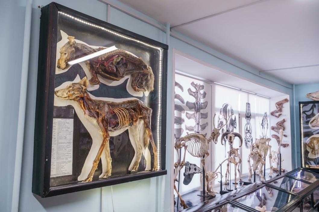 ГАУ Северного Зауралья