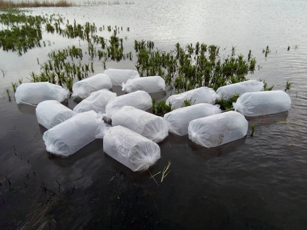 департамент агропромышленного комплекса Тюменской области