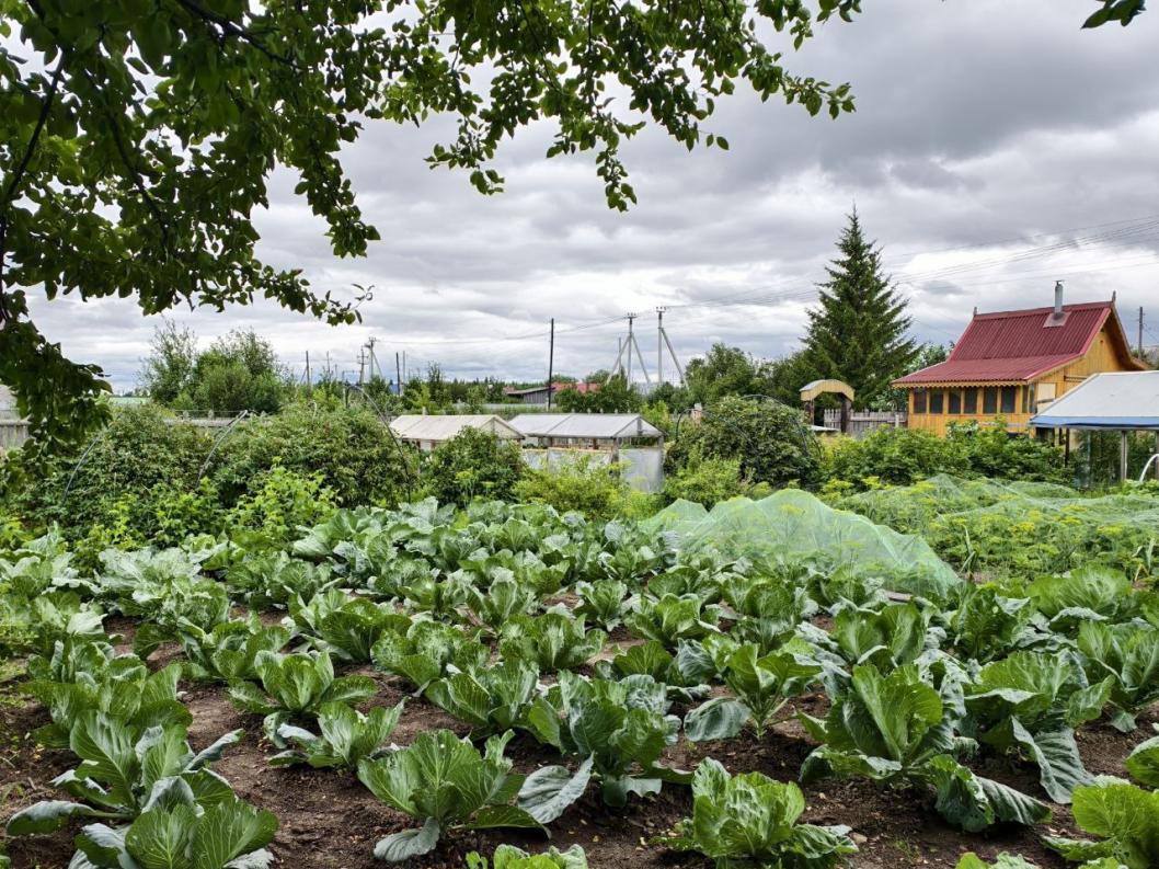 ИА "Тюменская линия"