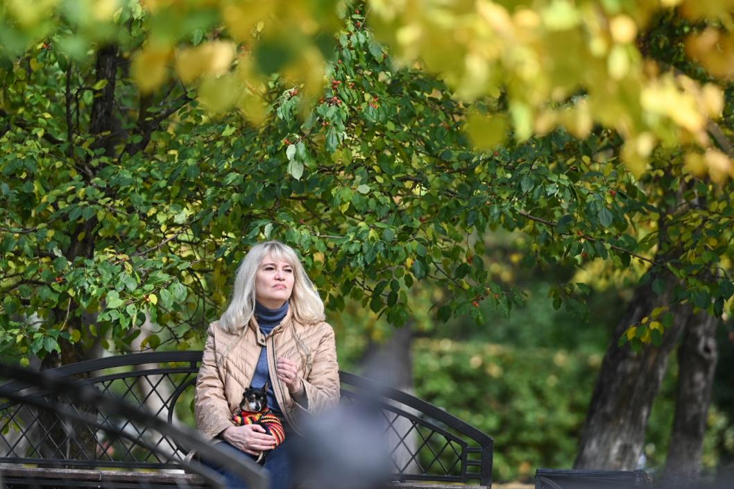 Сергей Елесин, ИА "Тюменская линия"