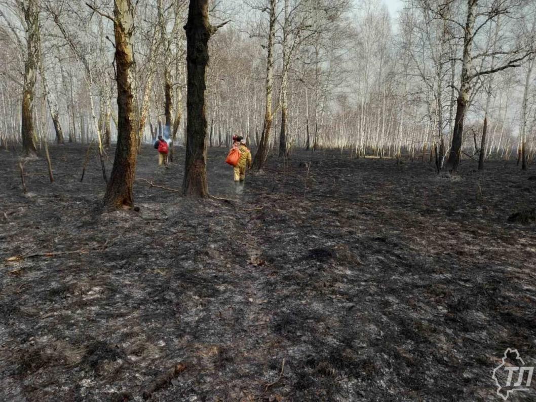 ИА "Тюменская линия"