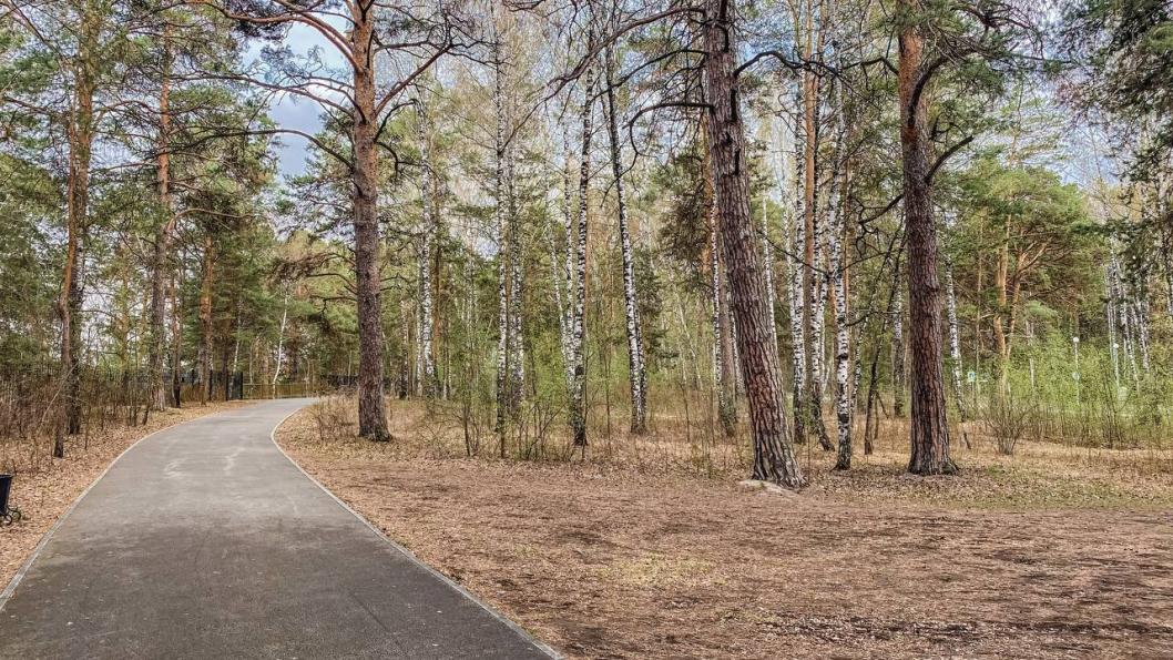 Юлия Божок, ИА "Тюменская линия"