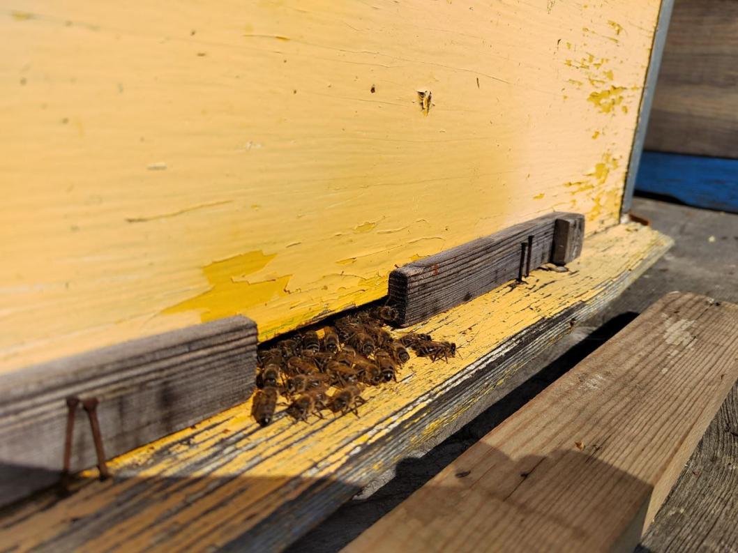 Александр Лабыкин, ИА "Тюменская линия"