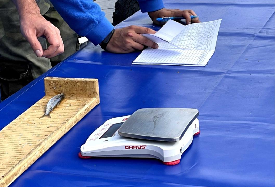 тюменский филиал ВНИРО