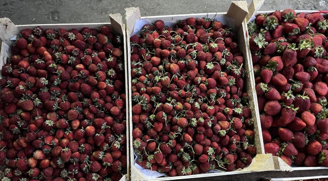 управление Россельхознадзора по Тюменской области, ЯНАО и ХМАО - Югре