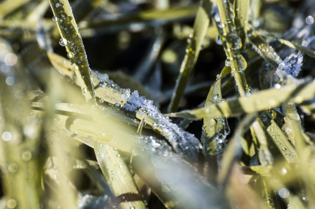 Сергей Елесин, ИА "Тюменская линия"