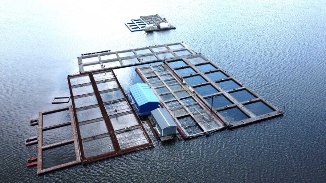 тюменский филиал ВНИРО