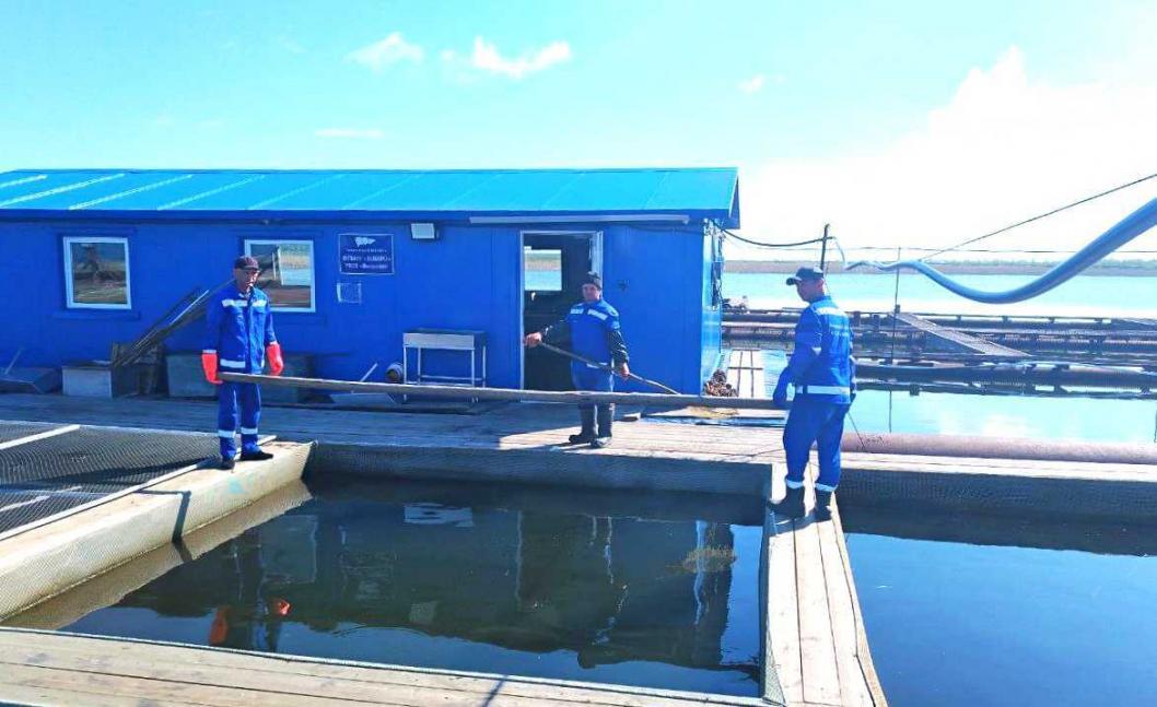 тюменский филиал ВНИРО