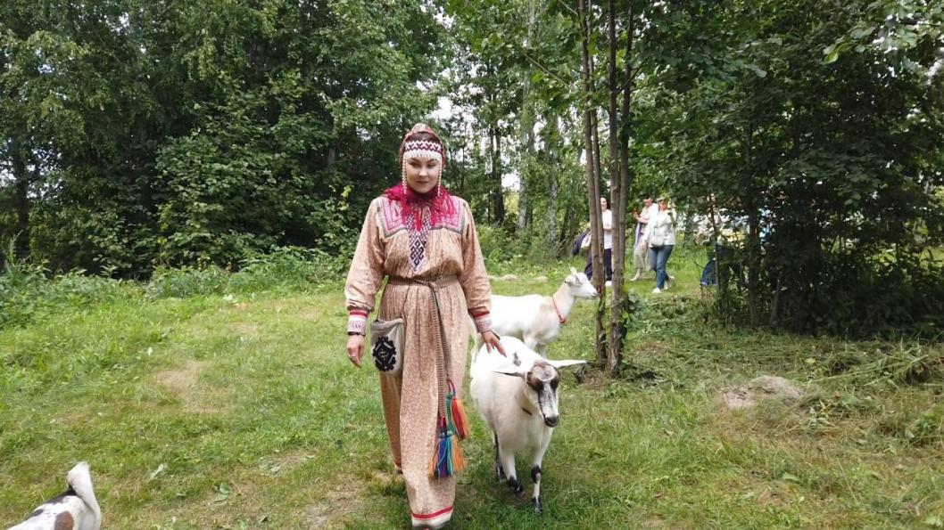 ИА "Тюменская линия"