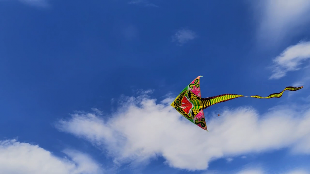 ИА "Тюменская линия"