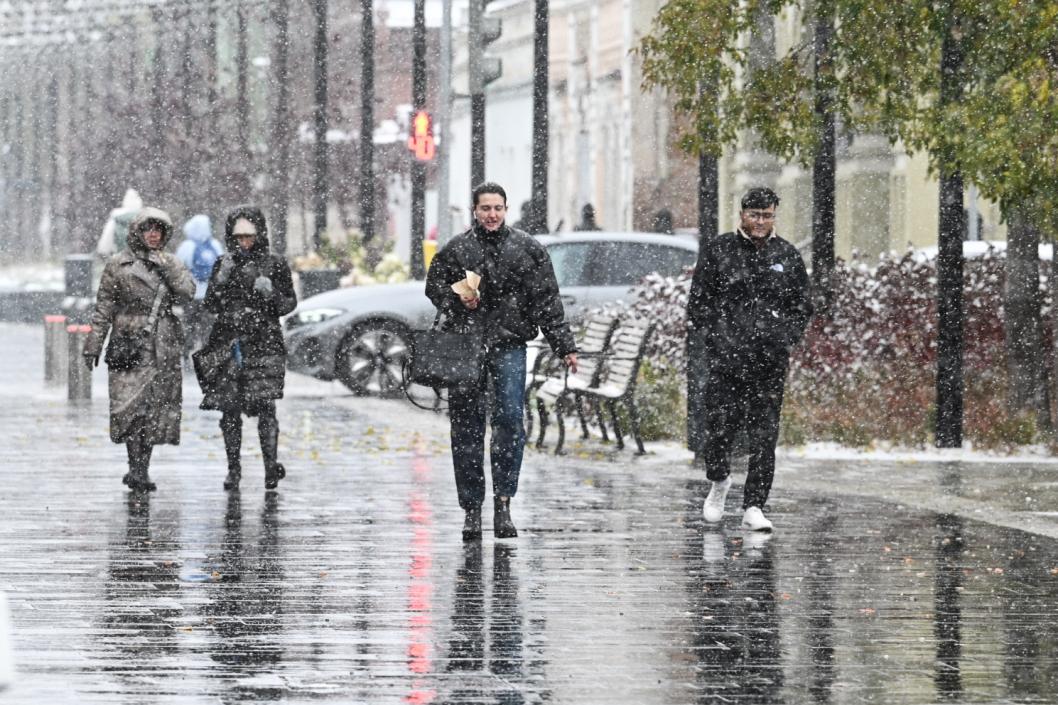 Сергей Елесин, ИА "Тюменская линия"