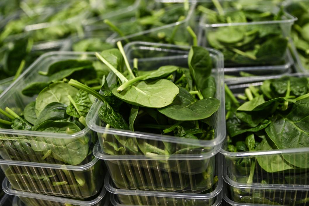 Сергей Елесин, ИА "Тюменская линия"