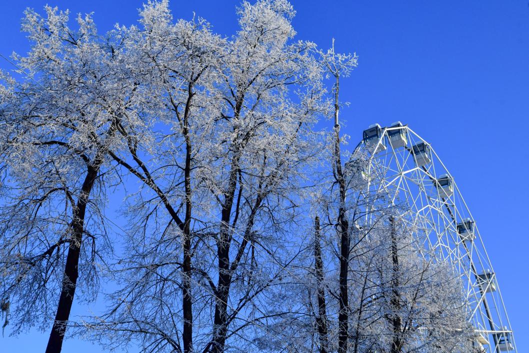 Сергей Елесин, ИА "Тюменская линия"
