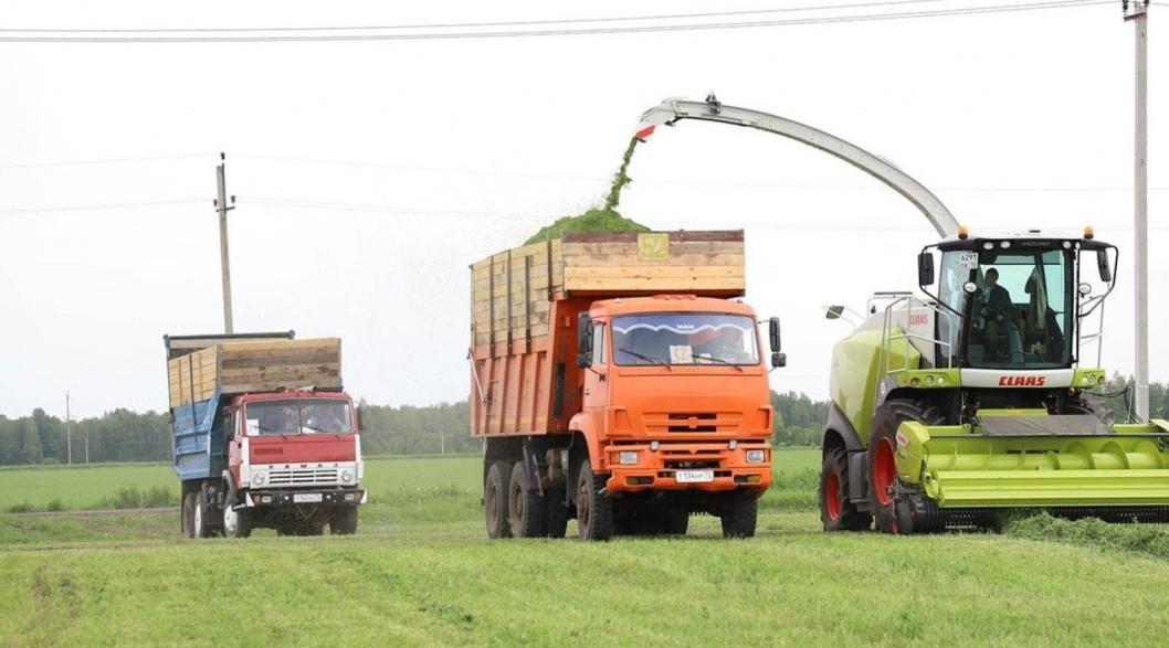 администрация Голышмановского округа