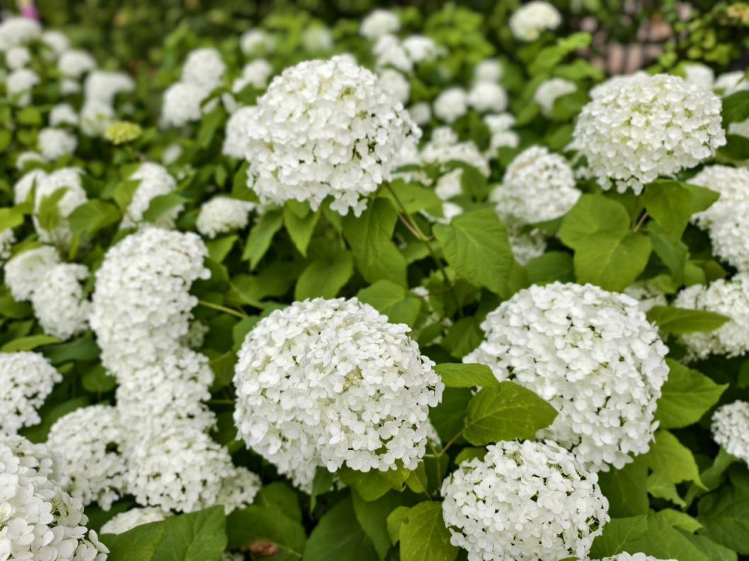 ИА "Тюменская линия"