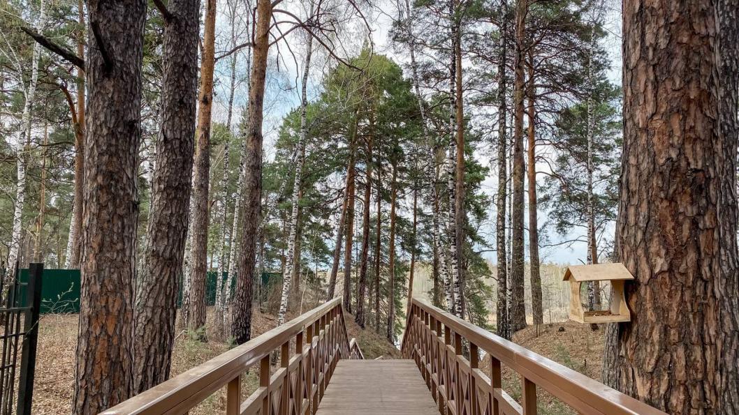 ИА "Тюменская линия"