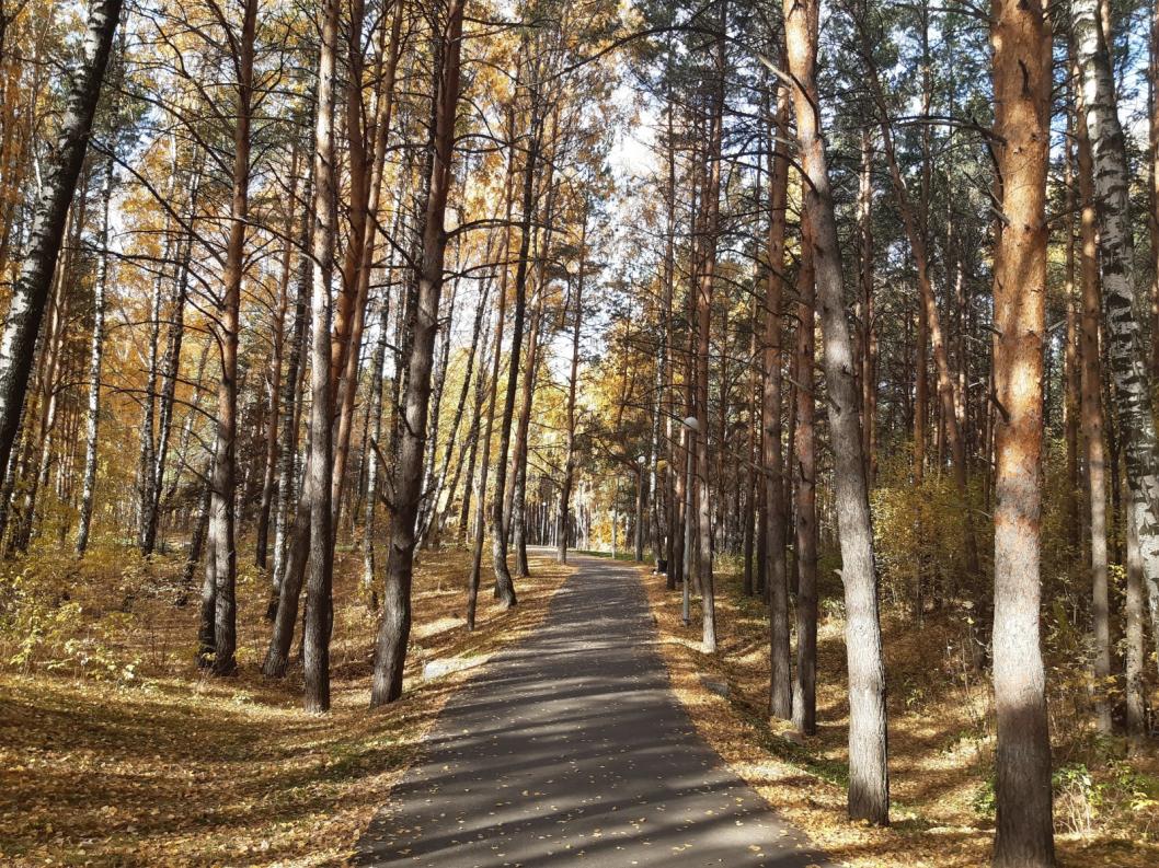 Анна Достовалова, ИА "Тюменская линия"